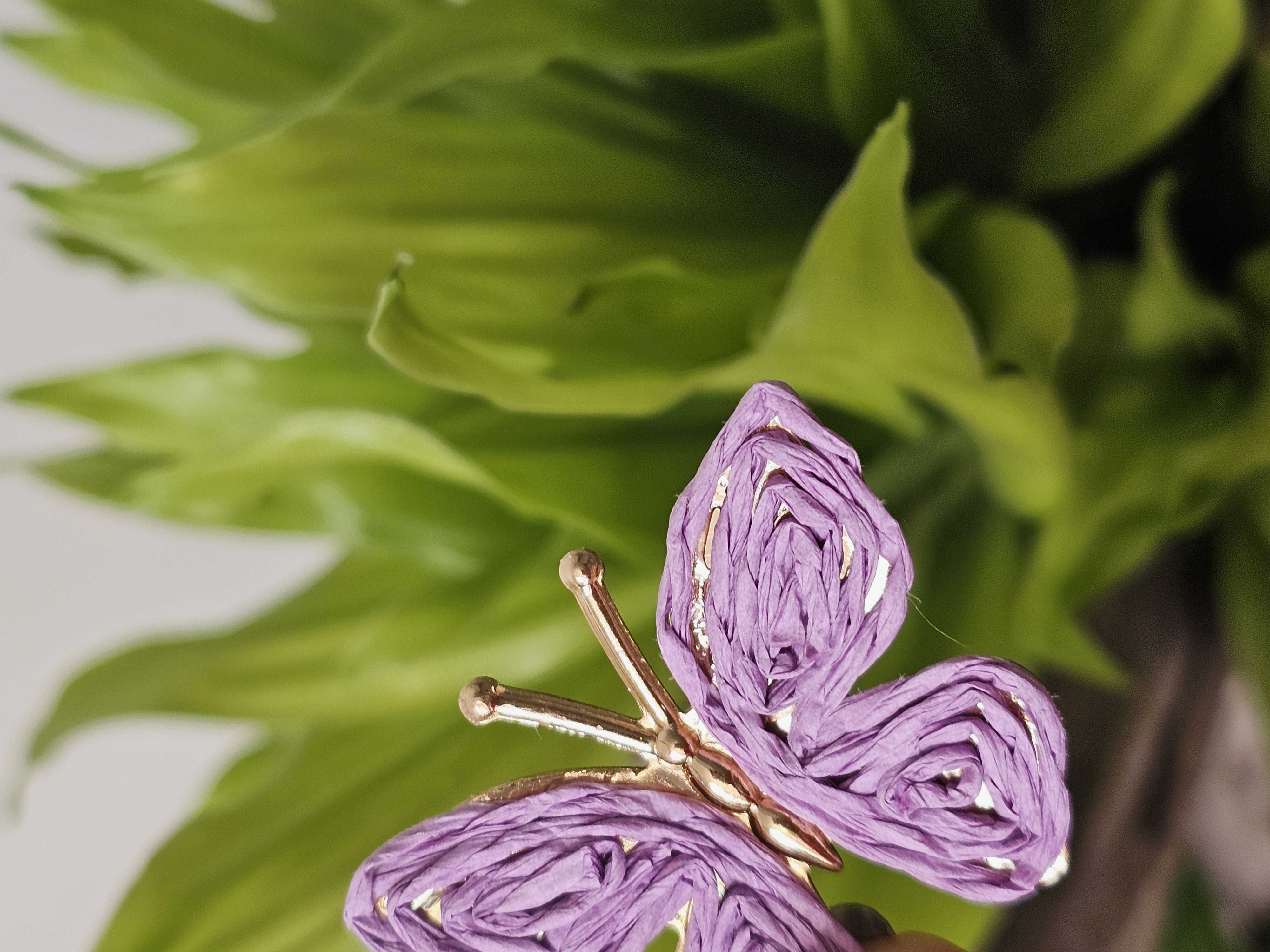 گوشواره حصیری پروانه
